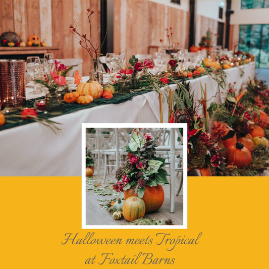 Halloween meets Tropical at Foxtail Barns